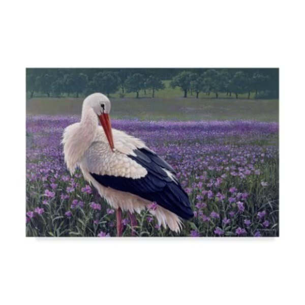 Harro Maass 'White Stork' Canvas Art, 30x47, Trademark Fine Art, Mfr#: ALI35570-C3047GG